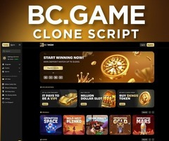 Plurance's BC.Game Clone Script: The Key to Your Crypto Casino Venture