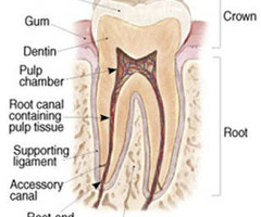 Best Root Canal Treatment in AECS Layout | Expert Dental Care