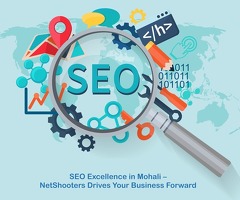 NetShooters - Best SEO Experts in Mohali