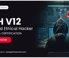 Ethical Hacker Courses and Training