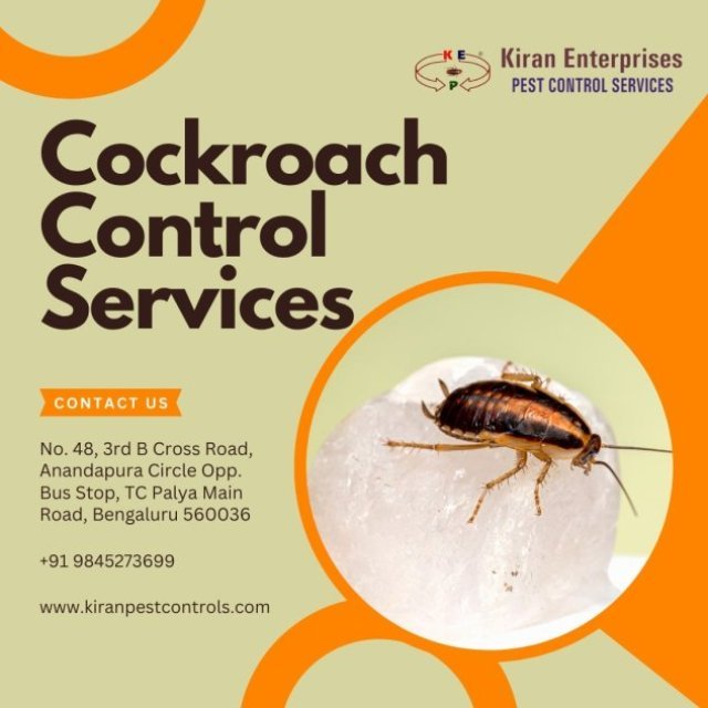 Cockroach Control Services in Magadi Road | Safe & Trusted