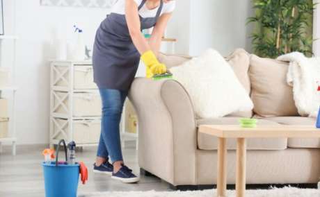 Eco-Friendly Sofa Cleaning Mohali: Choose Elite Winds for a Green Clean