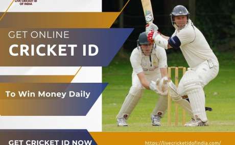 Cricket ID: Revolutionizing Cricket Fan Engagement