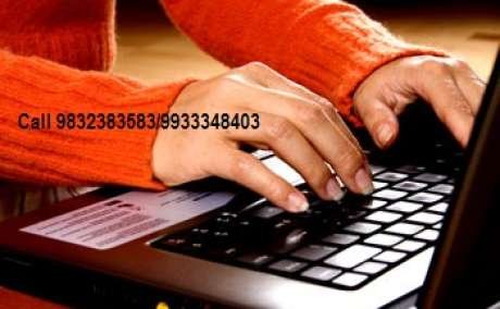 Online Data Entry Job