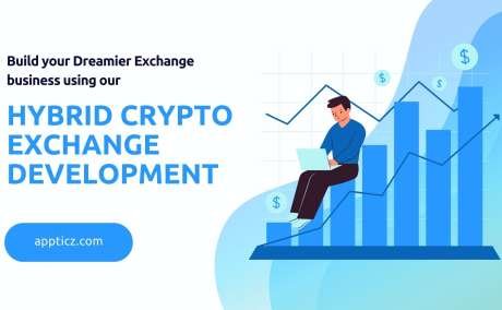 Hybrid Crypto exchange development services