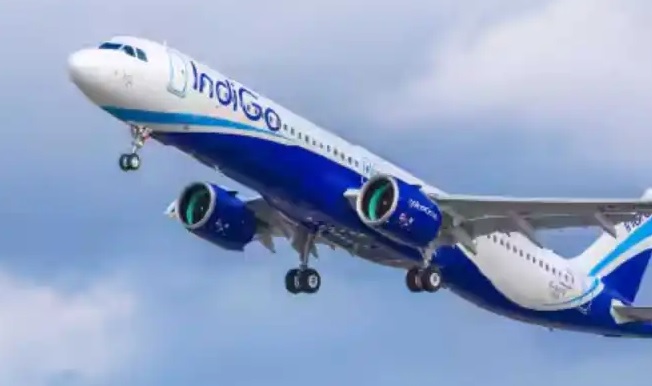 Indigo.jpg