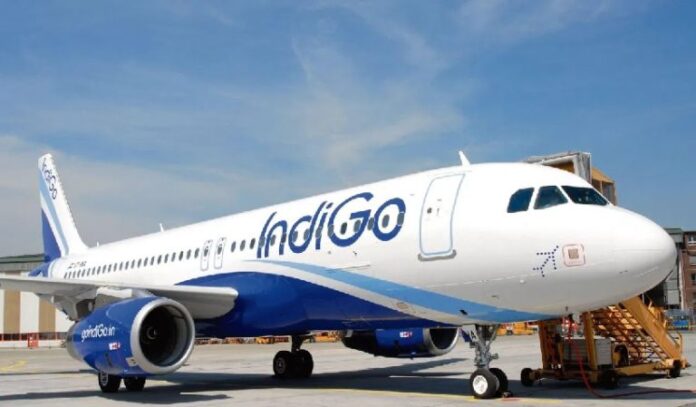 indigo.jpg