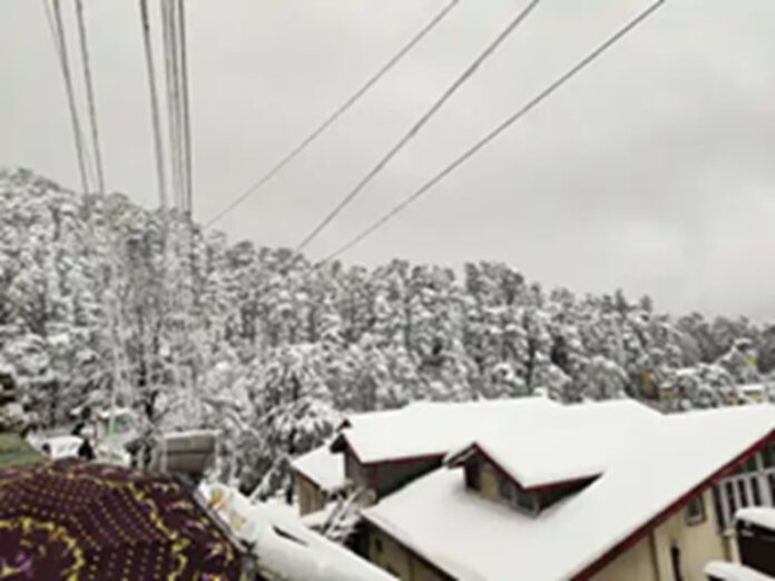 snowfall-1.jpg
