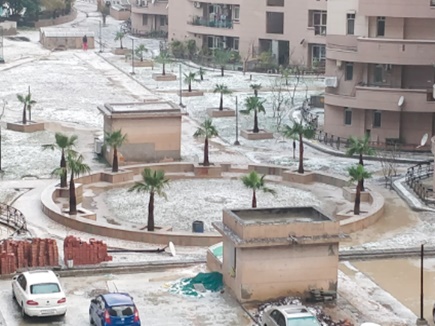 snowfall-2.jpg