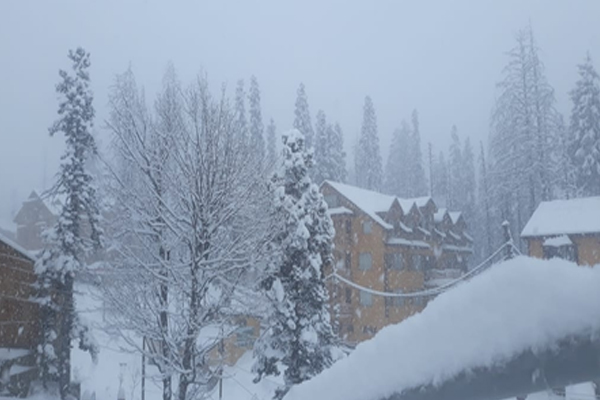 snowfall1-3.jpg
