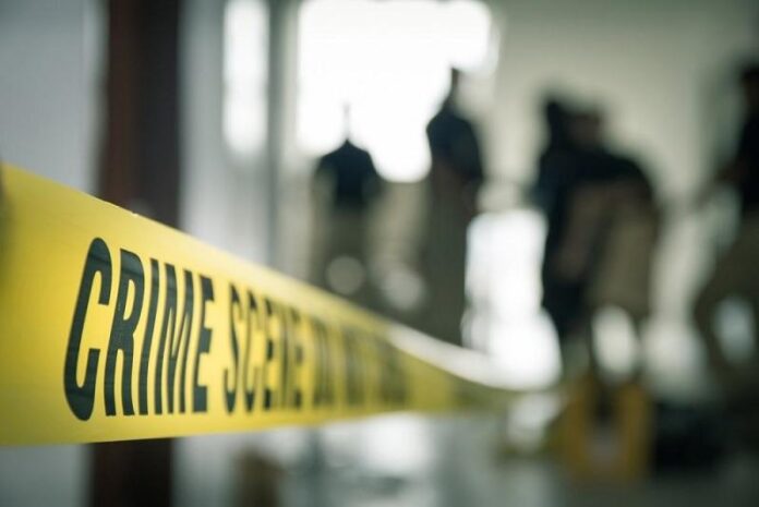 crime_1739924710572_1752832608038.jpg