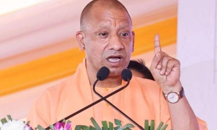 yogi.jpg